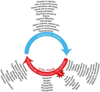 The not so hidden impact of interictal burden in migraine: A narrative review